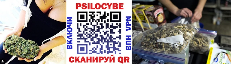 Псилоцибиновые грибы Psilocybine cubensis  Брянск 